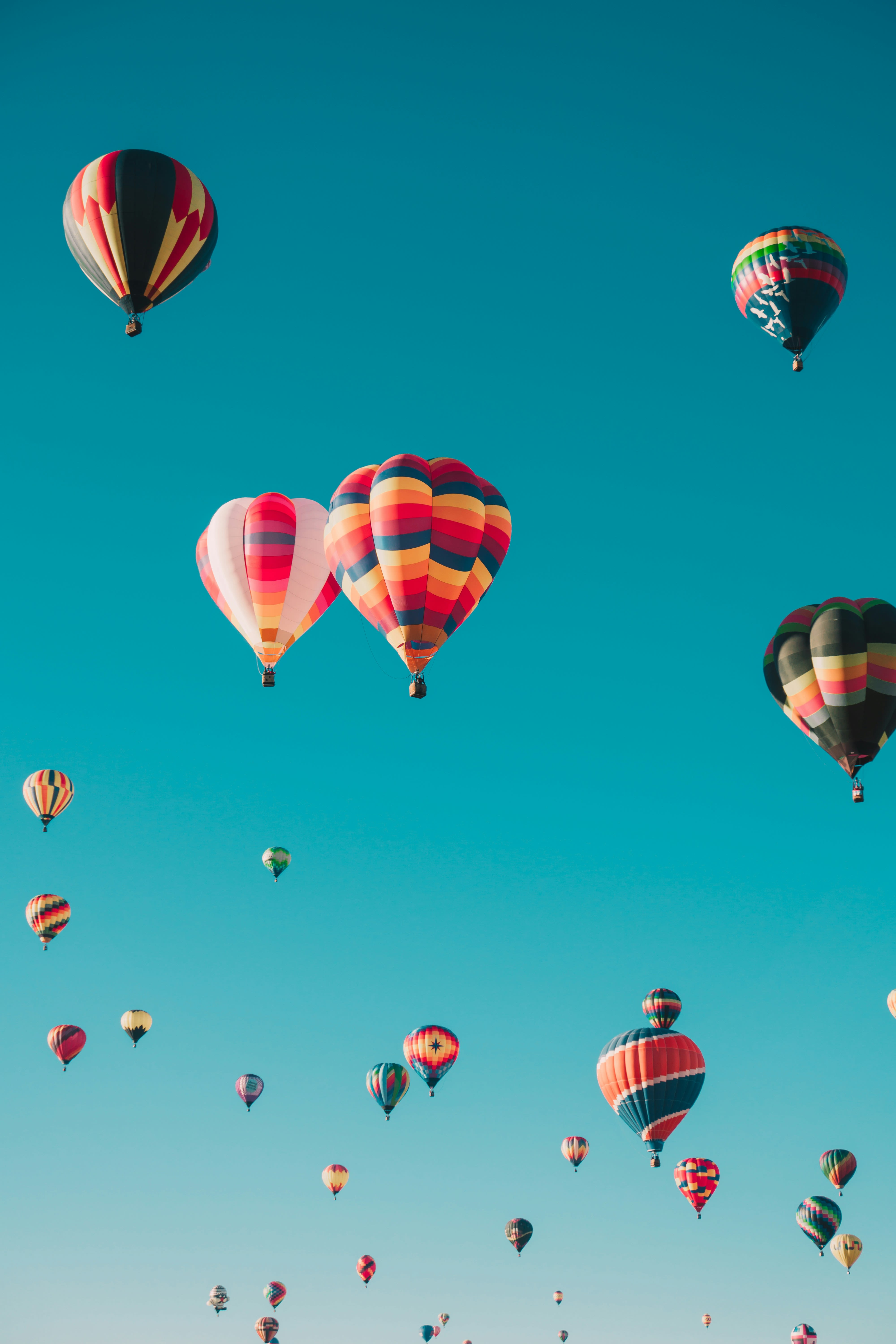 hot air balloon contest
